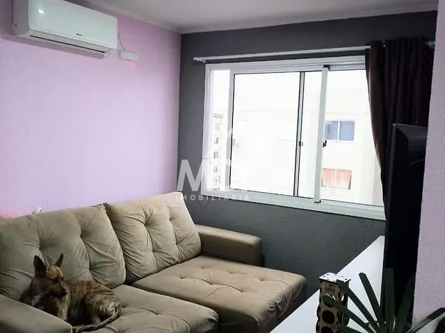 Apartamento 2 quartos e 1 banheiro, à venda, no bairro Areal em Pelotas