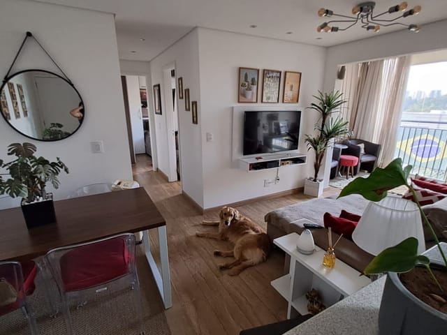 Foto do Apartamento - Apartamento à venda, Vila Anastácio, São Paulo, SP | Vista Livre