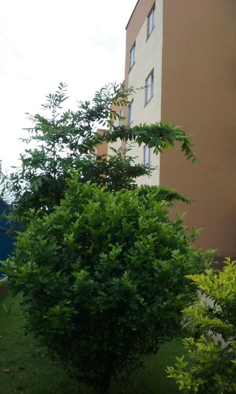 Apartamento 2 quartos, 1 banho, cozinha, 1 vaga,  portaria 24 horas, churrasqueira,  à venda, Morada do Rio, Santa Luzia, MG - Ideal para investidores. miniatura 5
