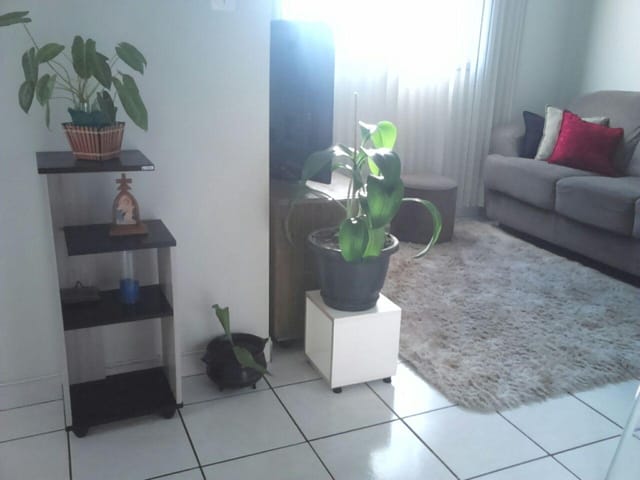 Foto do Apartamento - Apartamento residencial à venda, Jardim Ouro Preto, São José dos Campos. | INDEPENDENCE NEGOCIOS IMOBILIARIOS LTDA