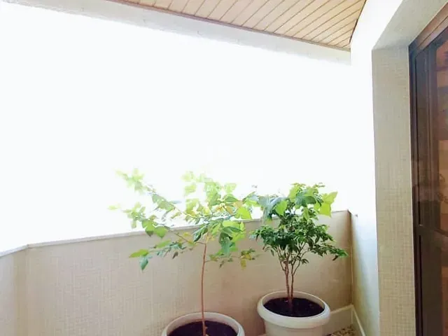Apartamento com 300m² 4 quartos e 4 banheiros, à venda, no bairro Jardim das Nações em Taubaté