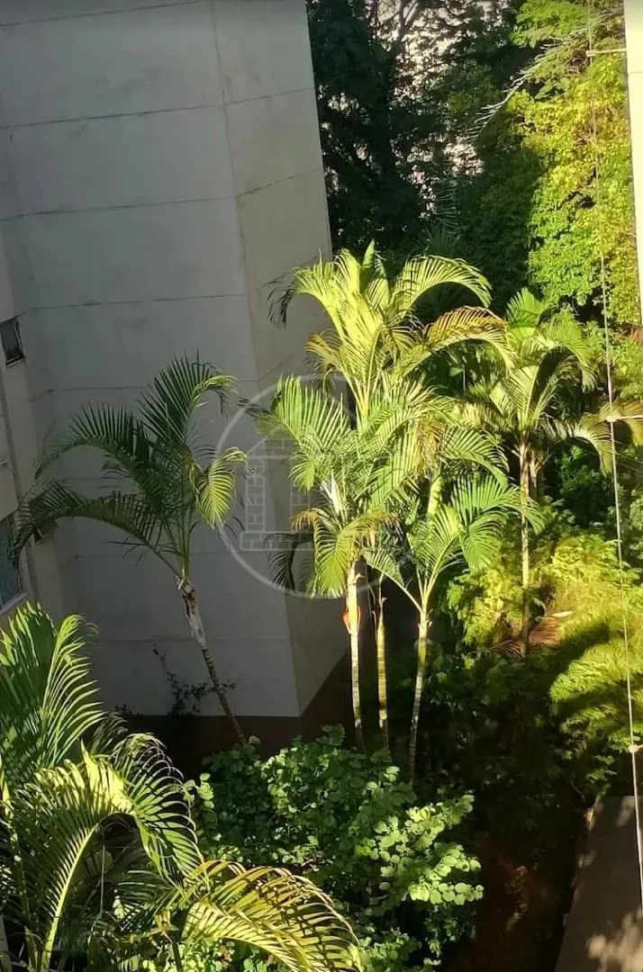 Apartamento, 2 quartos, 39 m² - Foto 29