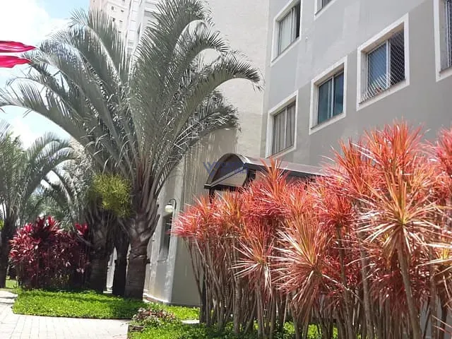 Apartamento 2 quartos e 1 banheiro, à venda, no bairro Palmeiras de São José em São José dos Campos