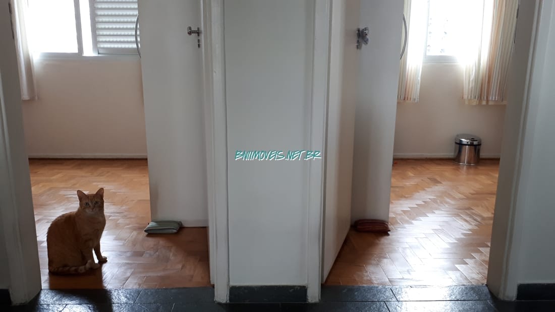 Apartamento, 2 quartos, 62 m² - Foto 12