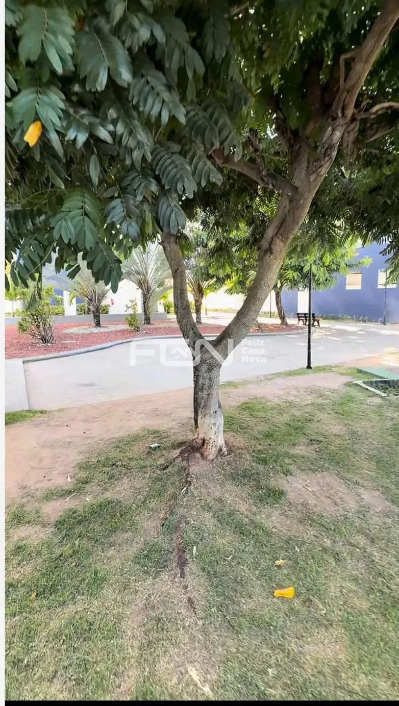 Apartamento, 2 quartos, 54 m² - Foto 16