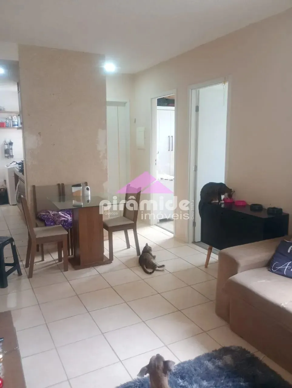 Apartamento, 2 quartos, 44 m² - Foto 11