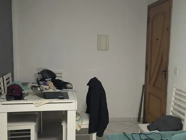 Apartamento 2 quartos e 1 banheiro, à venda, no bairro Vila Sacadura Cabral em Santo André