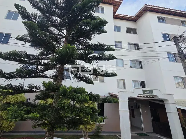 Apartamento 2 quartos e 1 banheiro, à venda, no bairro Boa União (Abrantes) em Camaçari