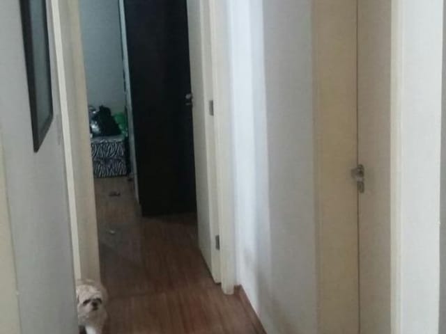 Foto do Apartamento - Apartamento residencial para locação, Cidade Morumbi, São José dos Campos. | INDEPENDENCE NEGOCIOS IMOBILIARIOS LTDA