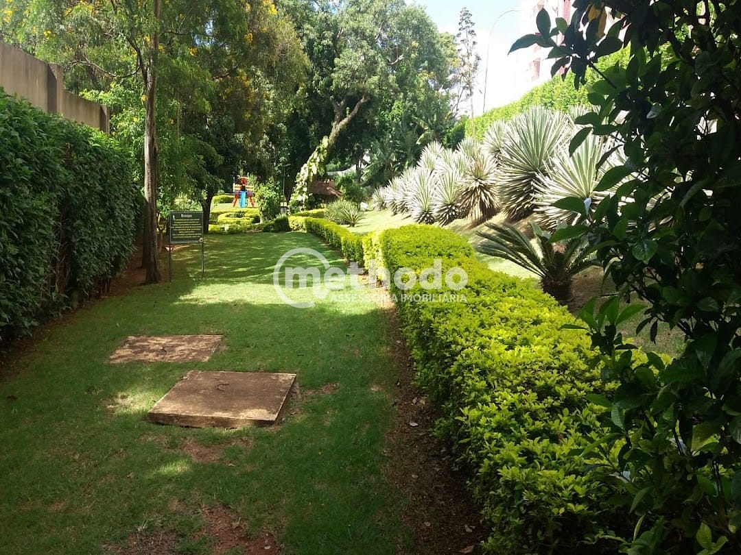 Apartamento, 3 quartos, 76 m² - Foto 3