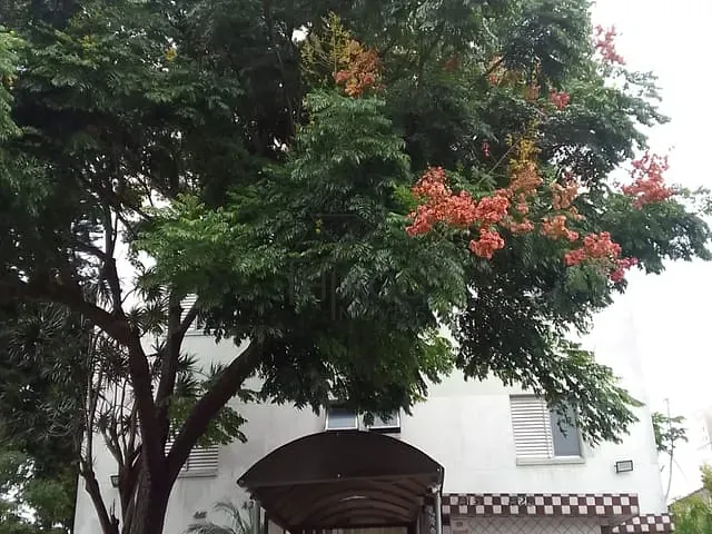 Apartamento com 58m² 2 quartos e 1 banheiro, para alugar, no bairro Catumbi em São Paulo