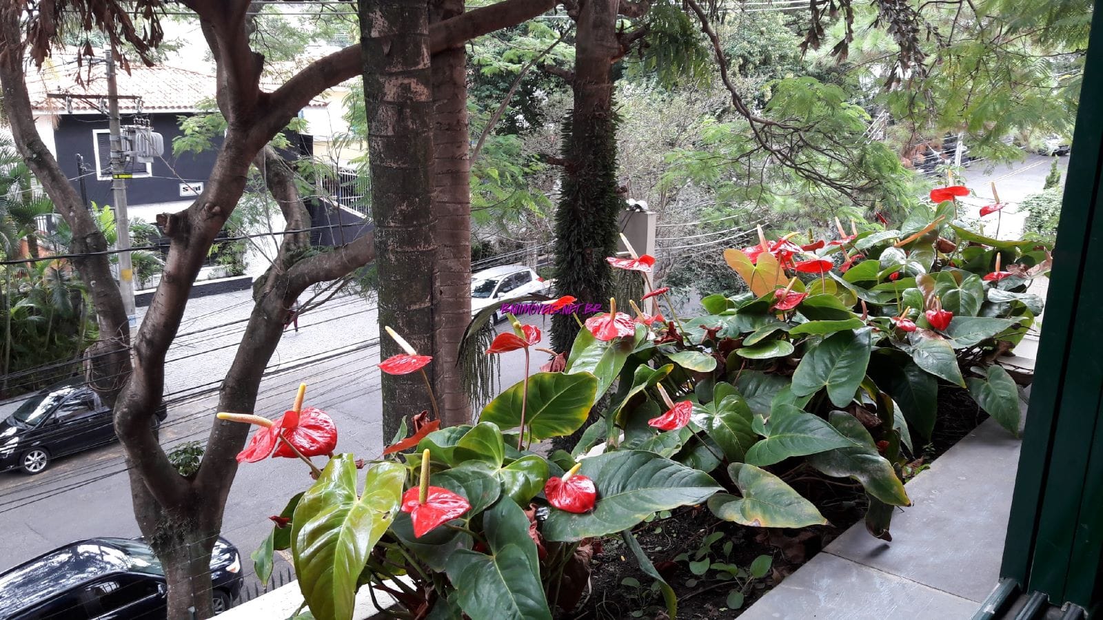 Apartamento, 4 quartos, 230 m² - Foto 1
