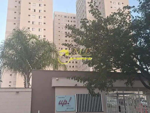 Apartamento 2 quartos e 1 banheiro, à venda, no bairro Jardim do Lago Continuação em Campinas