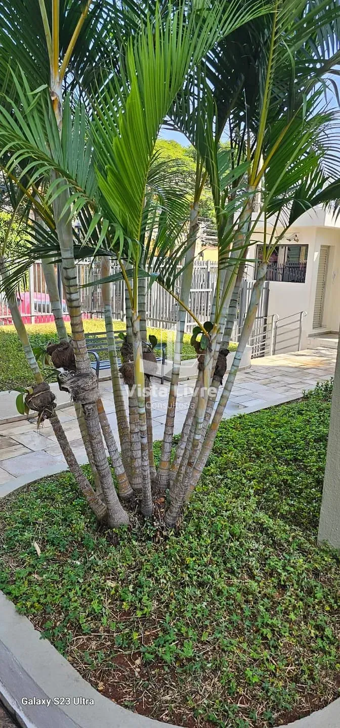 Apartamento, 3 quartos, 110 m² - Foto 30