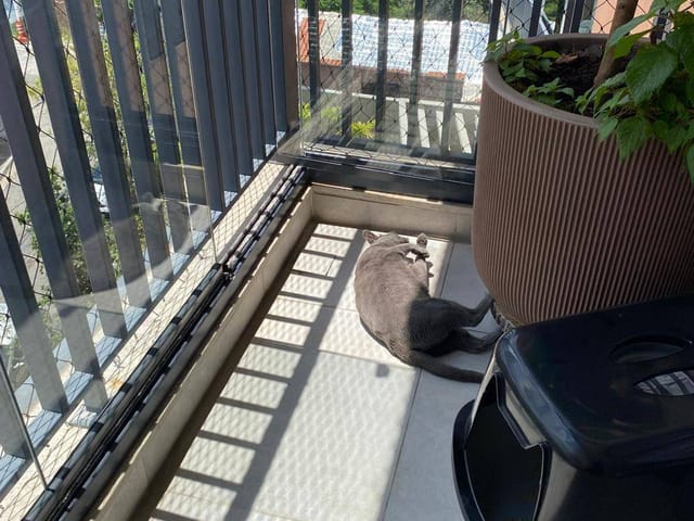 Foto do Apartamento - Apartamento à venda, Vila Ipojuca, São Paulo, SP | Vista Livre