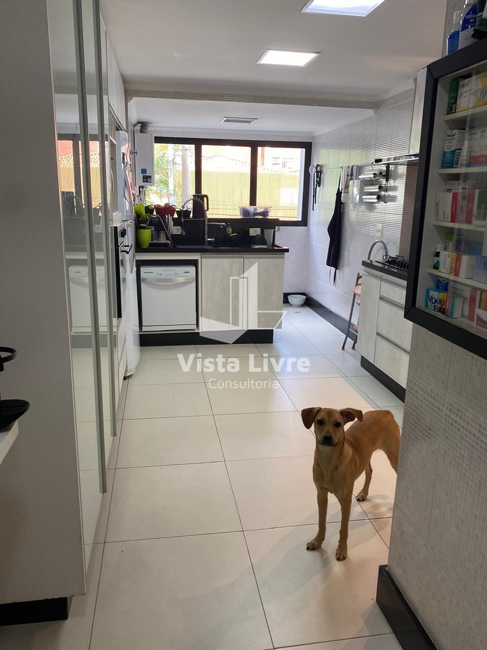 Apartamento, 4 quartos, 147 m² - Foto 18