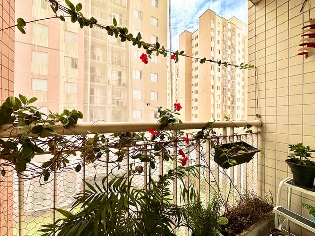 Apartamento com 63m² 3 quartos e 2 banheiros, à venda, no bairro Cambuci em São Paulo