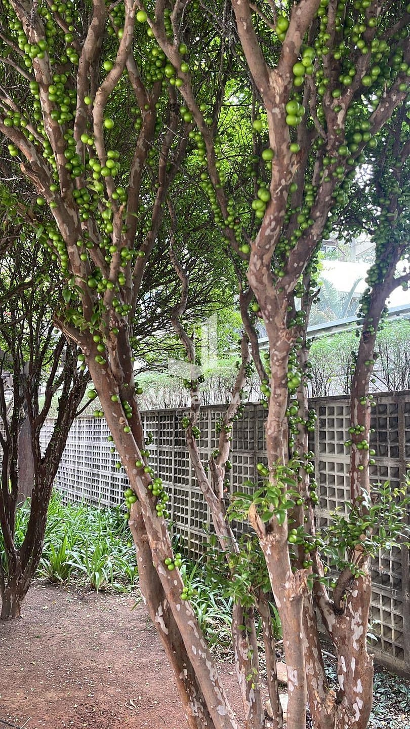 Apartamento, 2 quartos, 65 m² - Foto 48