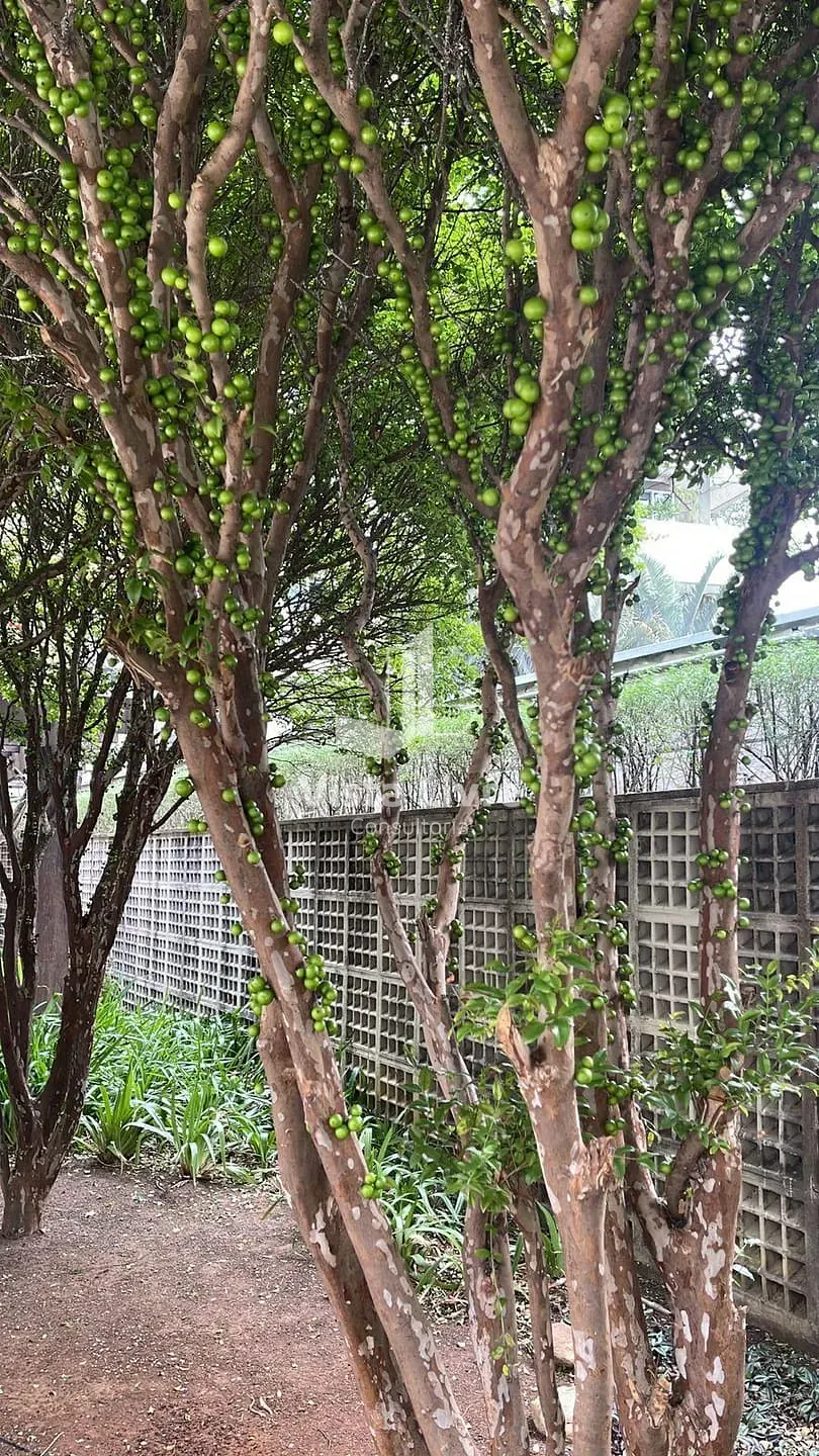 Apartamento, 2 quartos, 65 m² - Foto 48
