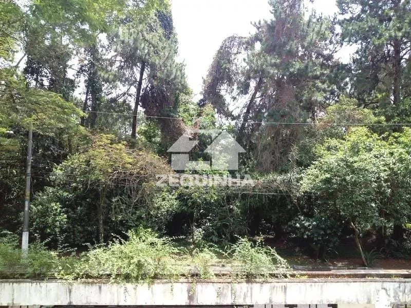 Apartamento, 4 quartos, 228 m² - Foto 12