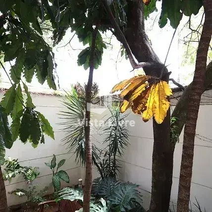 Apartamento, 3 quartos, 94 m² - Foto 89