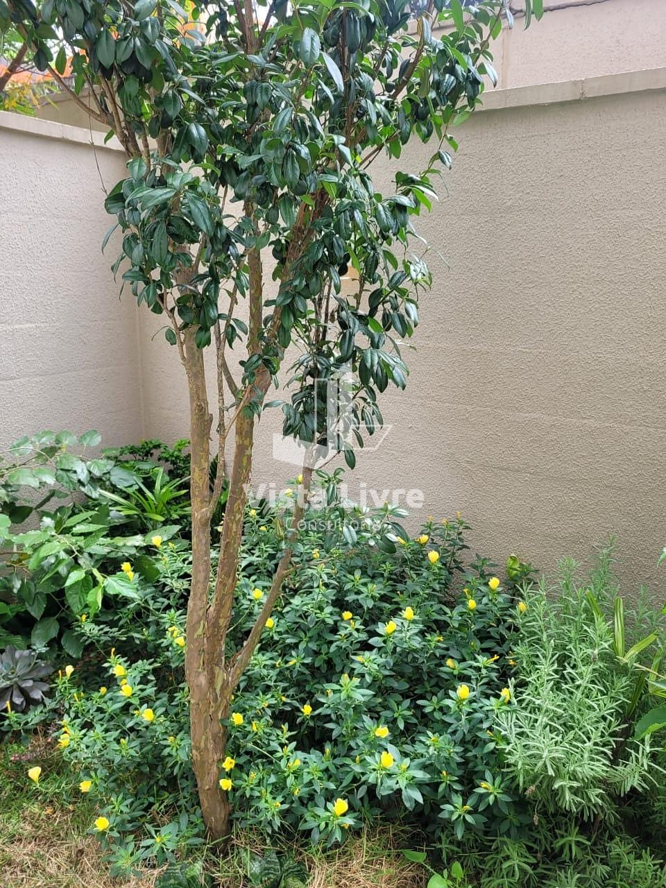 Apartamento, 3 quartos, 103 m² - Foto 6