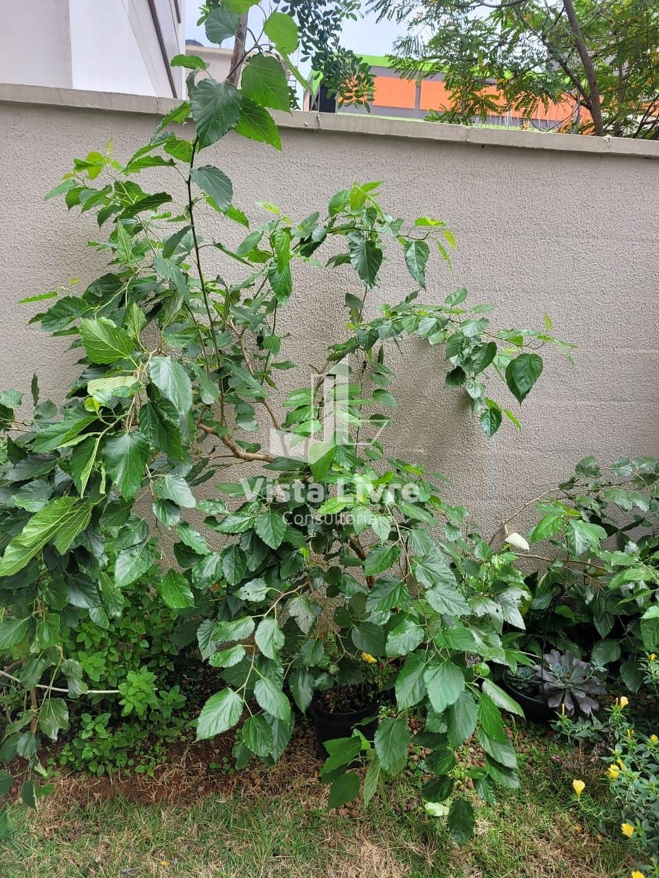 Apartamento, 3 quartos, 103 m² - Foto 7