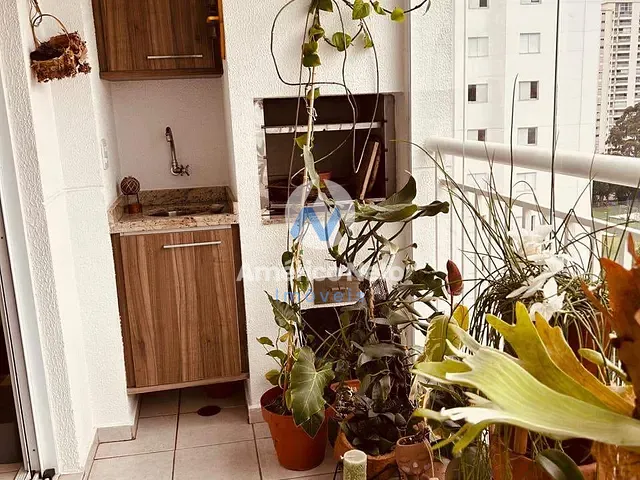 Apartamento 3 quartos e 1 banheiro, à venda, no bairro Boa Vista em São Caetano do Sul