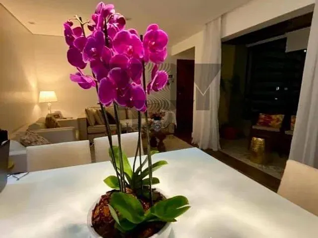 Apartamento 3 quartos e 3 banheiros, à venda, no bairro Vila Mascote em São Paulo