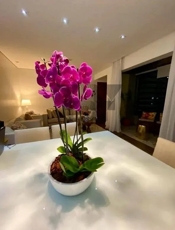 Apartamento, 3 quartos, 126 m² - Foto 5