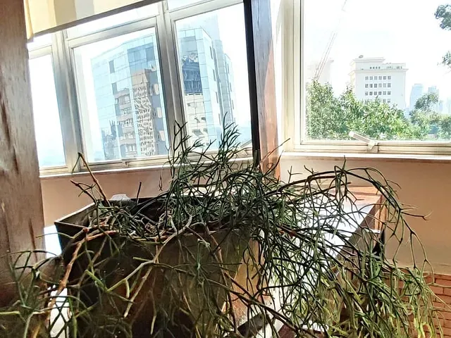 Apartamento 2 quartos e 2 banheiros, para alugar, no bairro Jardim Europa em São Paulo