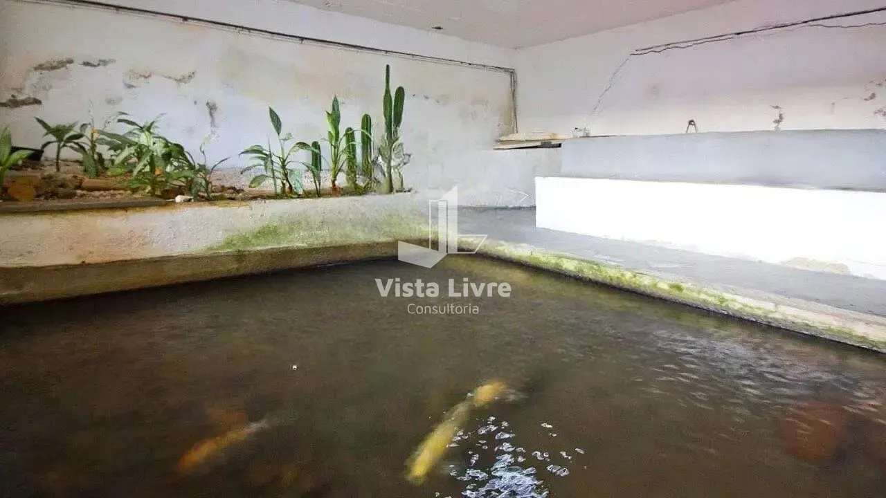 Apartamento, 4 quartos, 240 m² - Foto 70