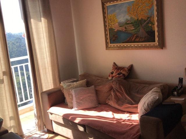 Foto do Apartamento - Apartamento com 3 dormitórios à venda, 67 m² por R$ 520.000,00 - Jardim Tupanci - Barueri/SP | Time Negócios Imobiliários