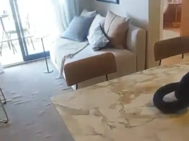 Foto do Apartamento - Apartamento à venda, Vila Anastácio, São Paulo, SP | Vista Livre