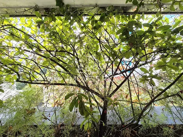 Apartamento 3 quartos e 3 banheiros, à venda, no bairro Leblon em Rio de Janeiro
