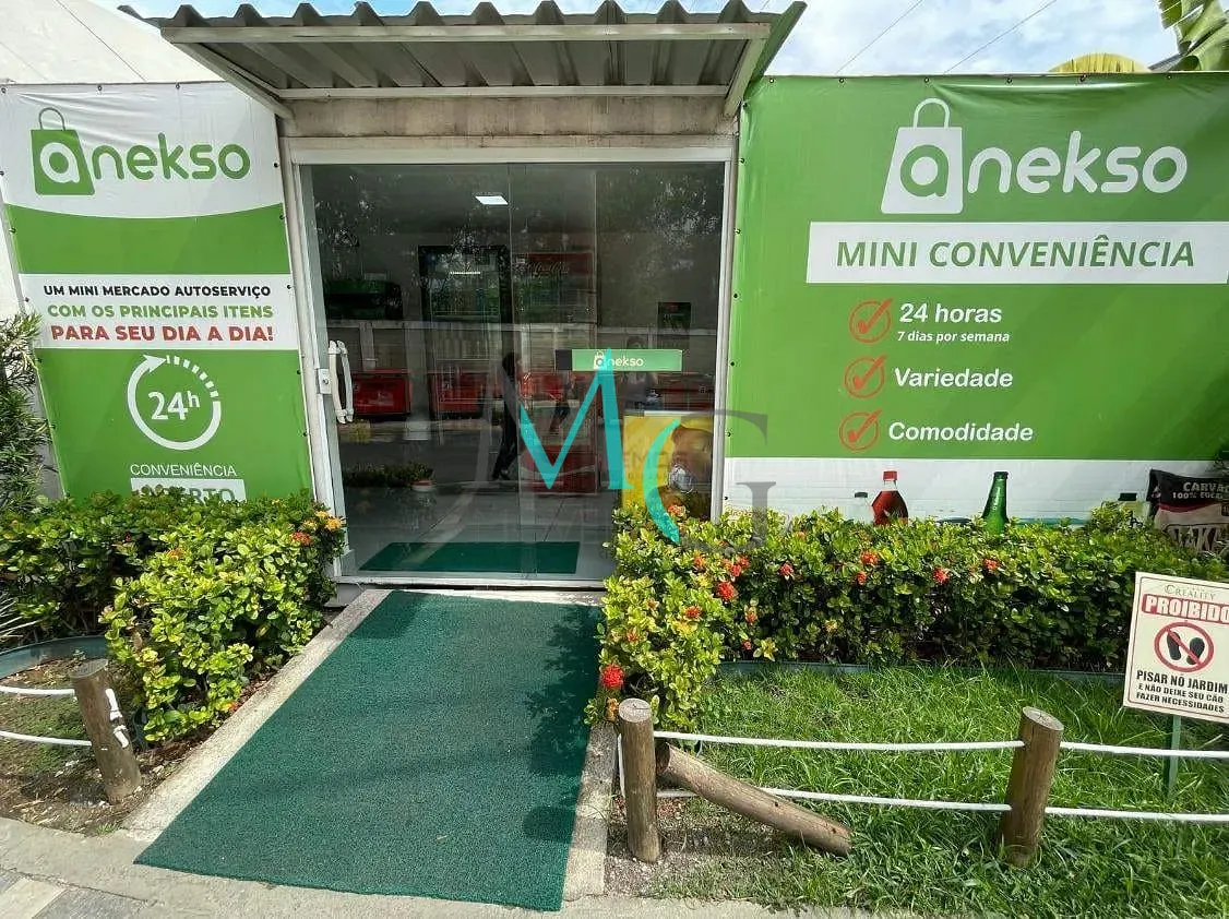 Apartamento, 3 quartos, 55 m² - Foto 28
