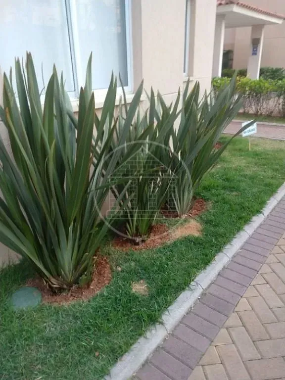 Apartamento, 2 quartos, 41 m² - Foto 20