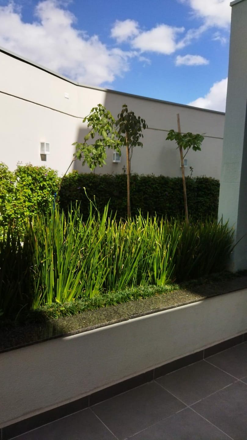 Apartamento para Locação 2 Quartos, 1 Vaga, 56M², Boa Vista, São Caetano do Sul - SP 
