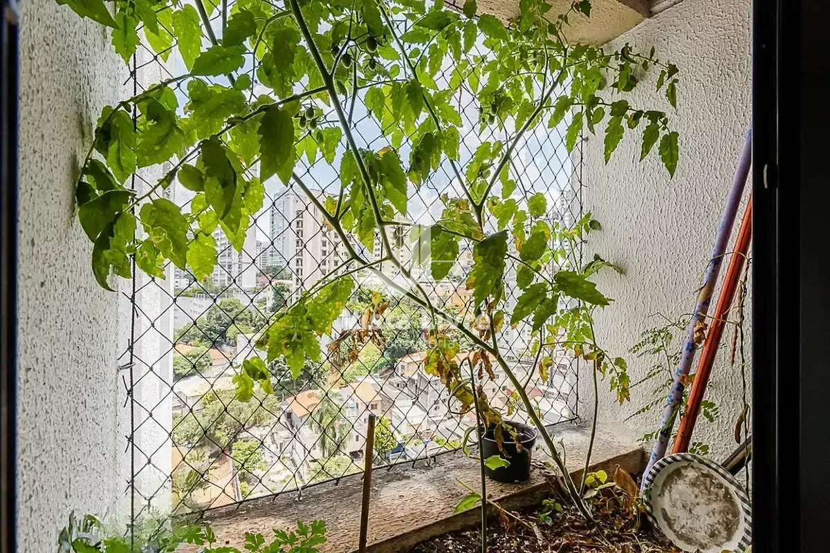 Apartamento, 3 quartos, 100 m² - Foto 39
