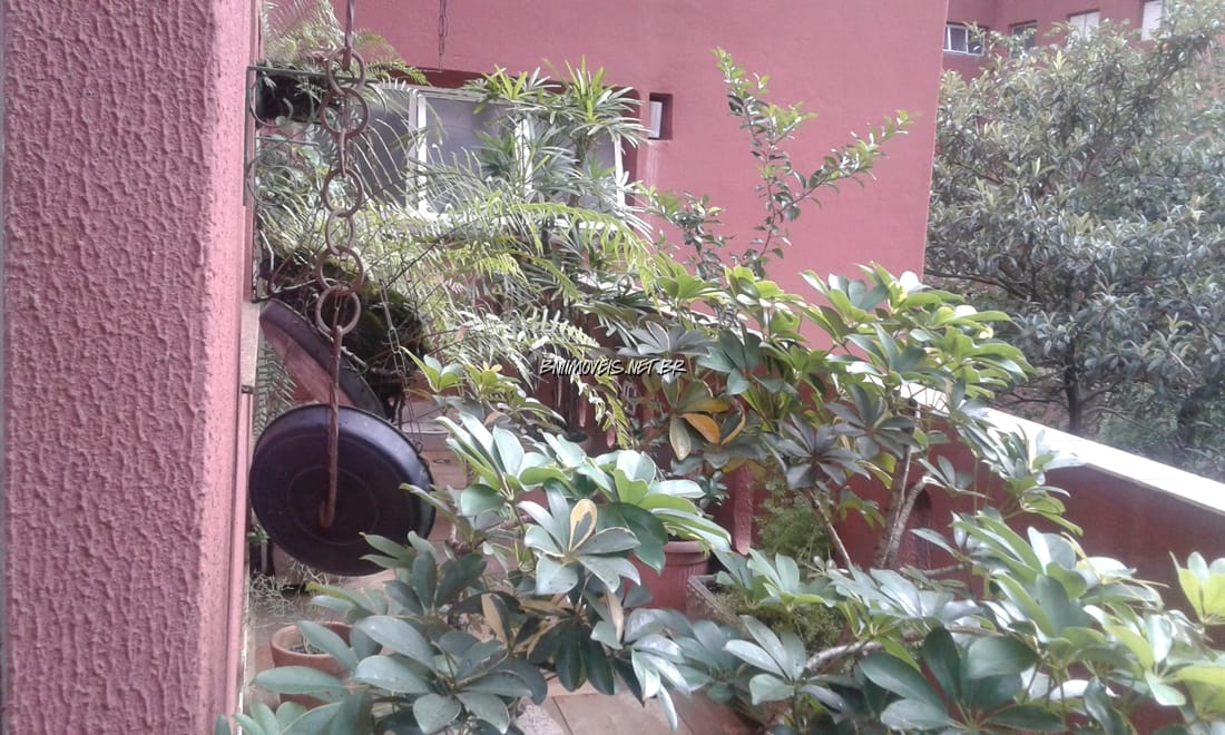 Apartamento, 3 quartos, 300 m² - Foto 13