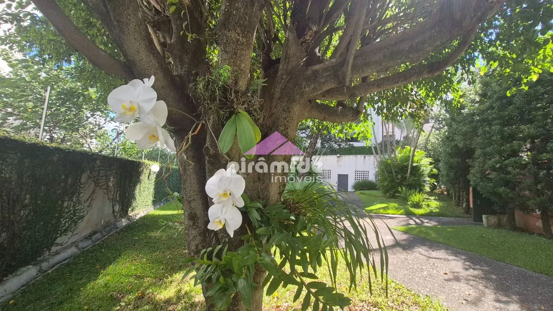 Apartamento, 4 quartos, 190 m² - Foto 46