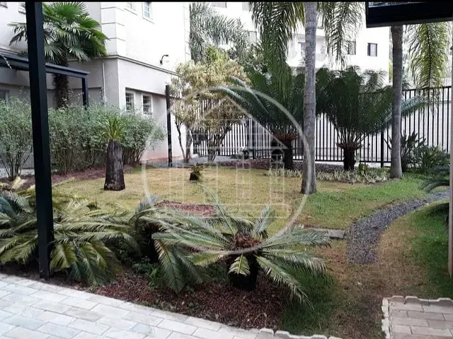 Apartamento 2 quartos e 1 banheiro, à venda, no bairro Paraíso do Morumbi em São Paulo
