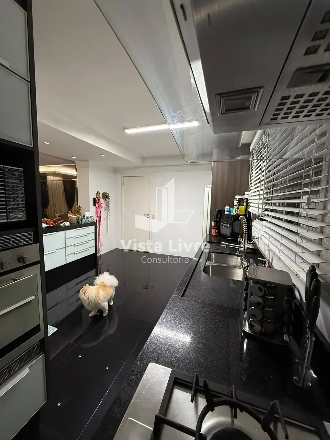Apartamento, 3 quartos, 151 m² - Foto 7