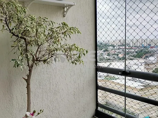 Apartamento com 65m² 2 quartos e 2 banheiros, à venda, no bairro Jardim Íris em São Paulo