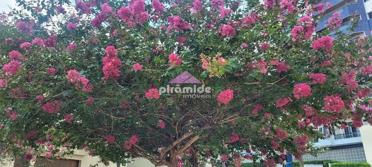 Apartamento, 3 quartos, 76 m² - Foto 22