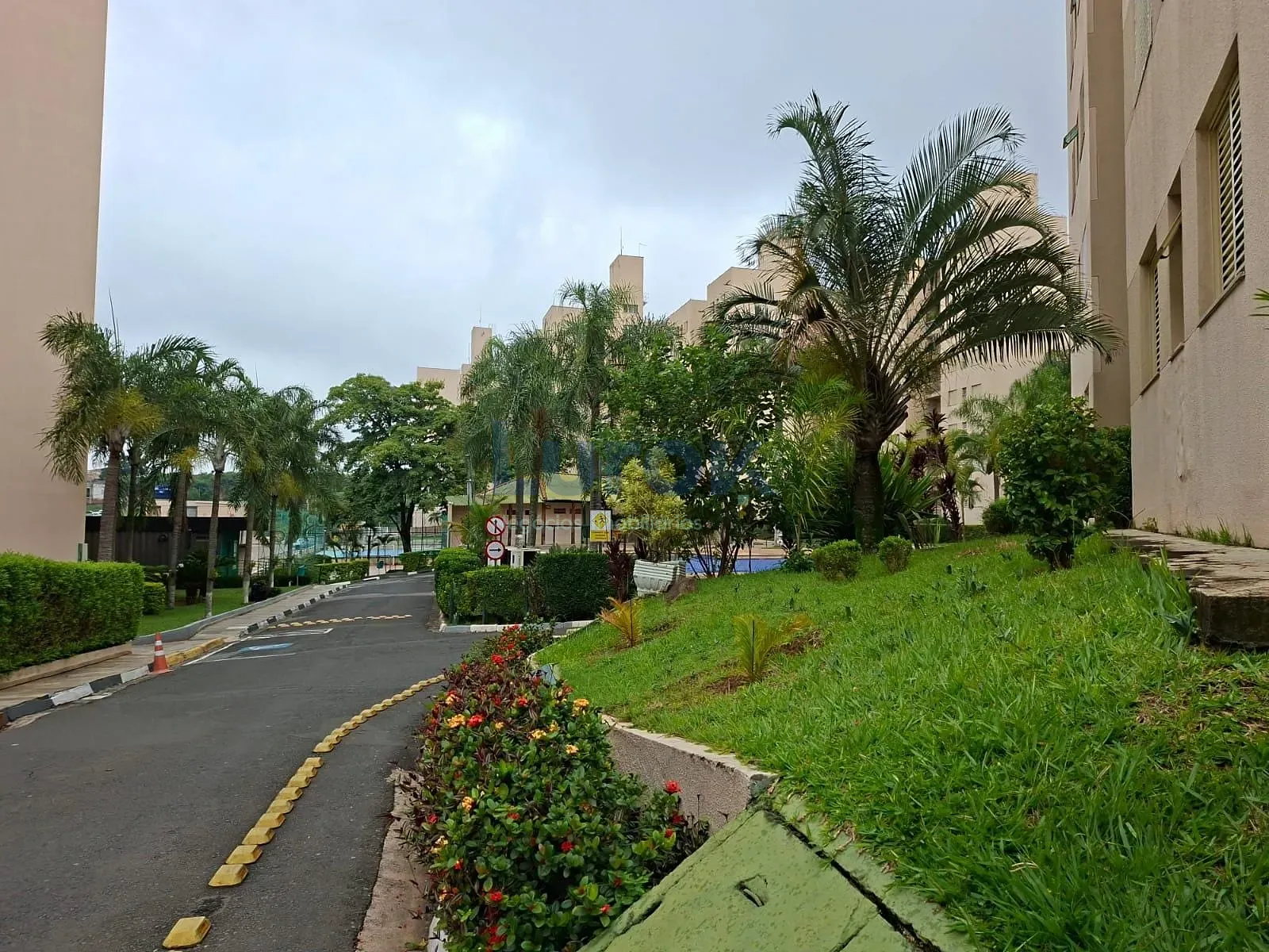 Apartamento, 3 quartos, 78 m² - Foto 26