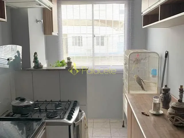 Apartamento 2 quartos e 1 banheiro, à venda, no bairro Parque São Luís em Taubaté
