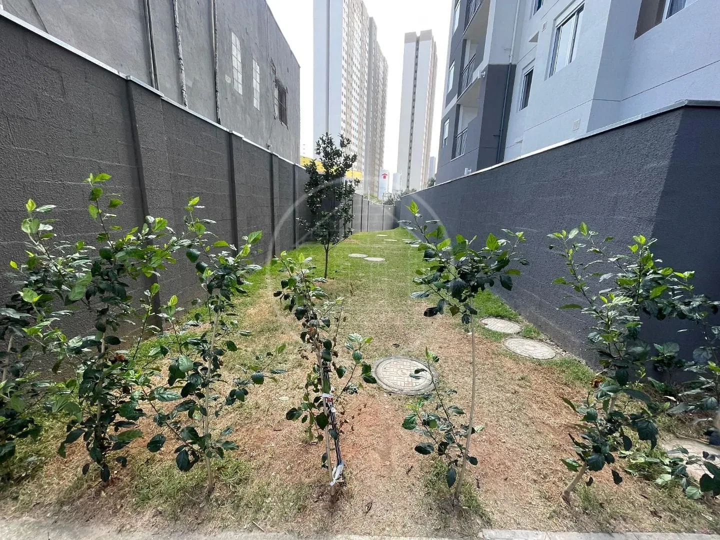 Apartamento, 2 quartos, 36 m² - Foto 24