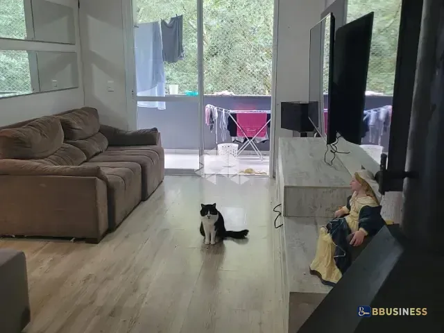Apartamento 3 quartos e 2 banheiros, à venda, no bairro Panazzolo em Caxias do Sul