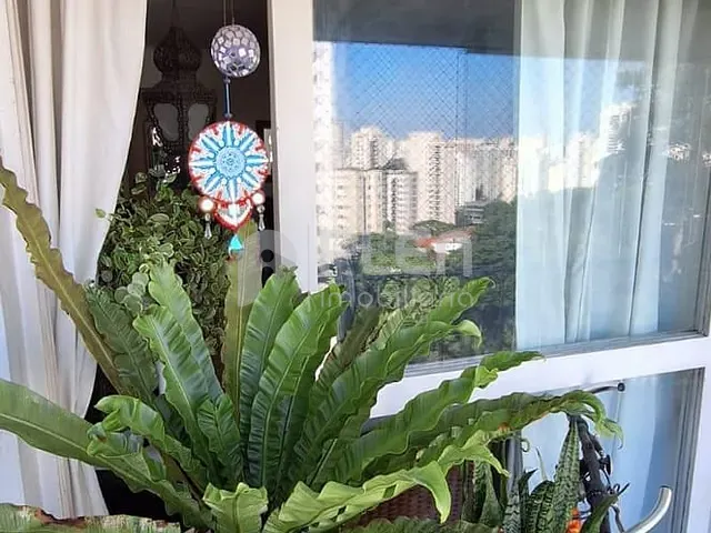Apartamento 3 quartos e 1 banheiro, à venda, no bairro Vila Ester (Zona Norte) em São Paulo